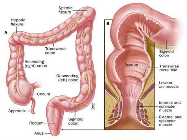 Opposite of anal incontinence Real naked three year